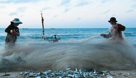 Begin your visa-prepared day with Vietnam’s tranquil ambiance
